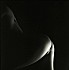 Why-Not-035.jpg