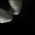 Why-Not-037.jpg