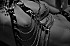 Salon-Eros-Mul-15-Erog.JPG