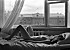 Shahabalov7