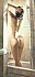 Hanks Steve-The Shower-embed