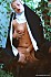 nonne1
