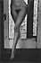 RalphGIBSON (14)