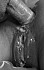 sperme