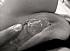 tumblr ldv0nzgOhk1qzq5nno1 500-copie-1