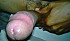IMAG0960