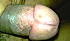 IMAG1088