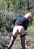 02.gif