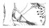 dessins_erotiques--11-.jpg