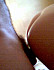 gallery_77290_32277_8206.jpg