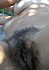 gallery 327628 303024 756008