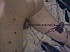 Picture 2786