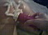 Picture 1027