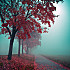 AZN7wsuV4gbjb4wob5JjU9mNo1_500.jpg