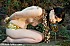 tumblr ks34lr7SMi1qa258ao1 500
