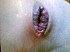 2010-03-05-35737