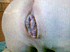 2010-03-05-35785