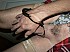 cec027-copie-1.jpg