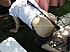 DSCF1468