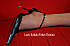 LKFD-gianmarco7.jpg