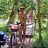 Forester-W.jpg