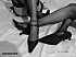 entre-filles01085.jpg