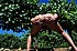 Exhibe-dans-les-vignes 7952