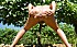 Exhibe-dans-les-vignes 7954