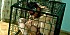 owk4-f9f1x478.jpg