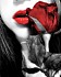 Rose Rouge (11)
