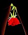 Rose Rouge (22)