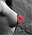 Noir et Rouge (69)