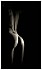 Body VIStephan Diekmann