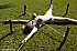 bondage-copie-1.jpg