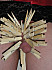Carla pute travestie 2799