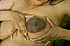 enceinte solo A8 - 16