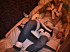 PIC 0256