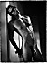 attendre sa Maitresse