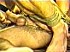 imagesCAPMBS7P