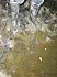 DSCN1196