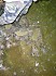 DSCN1206
