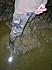 DSCN1208