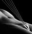 musique