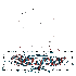 65