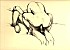 dessins erotiques (748)