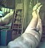 Cbt28-2005-005-1