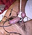 Cbt28-2006-012-09