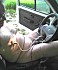 Cbt28-2010-008