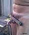 Cbt28-2011-034-3