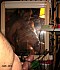 Cbt28-2012-028-1